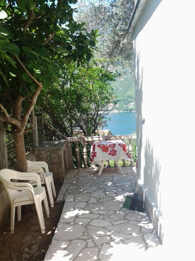 טיווט Apartman Irena מראה חיצוני תמונה